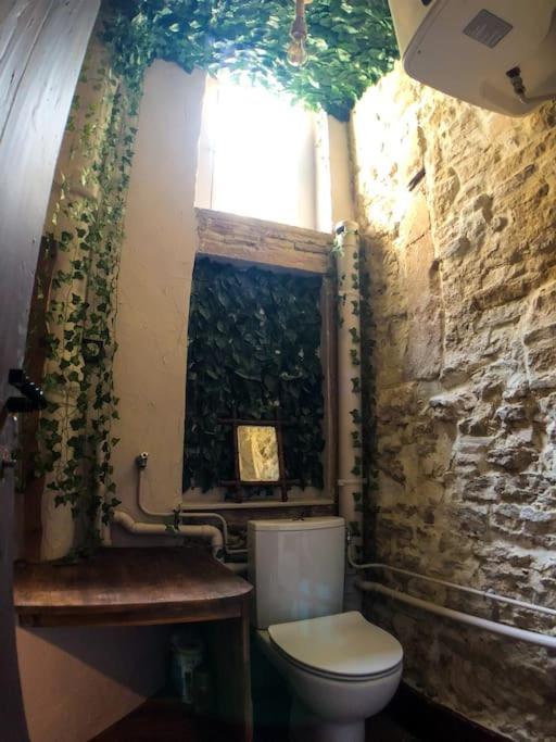 Le Tulum, T2, Hyper-Centre, Place Aux Herbes Mâcon المظهر الخارجي الصورة